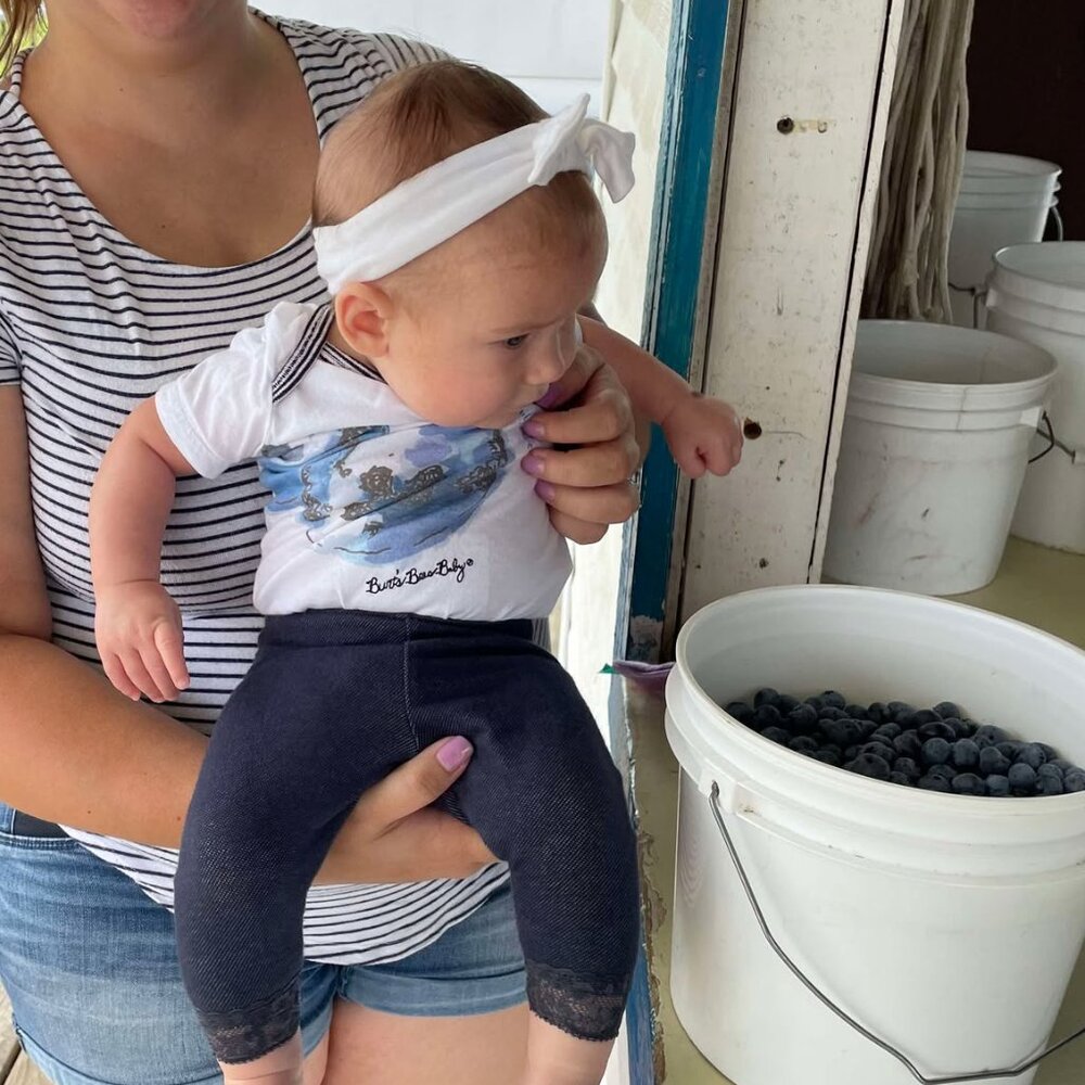 Burt's Bees Baby | White and Blueberry "Fruity Cutie" Bodysuit | Size 3-6 Months